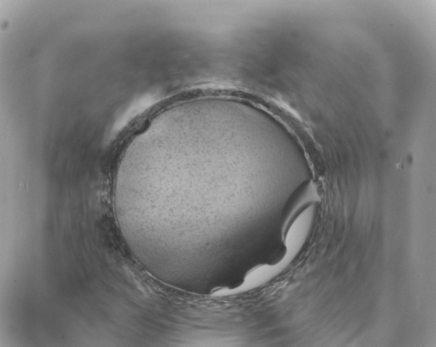 X0000088381255200706121136