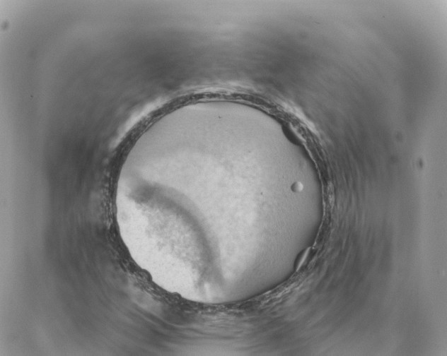 X0000088381256200706121136