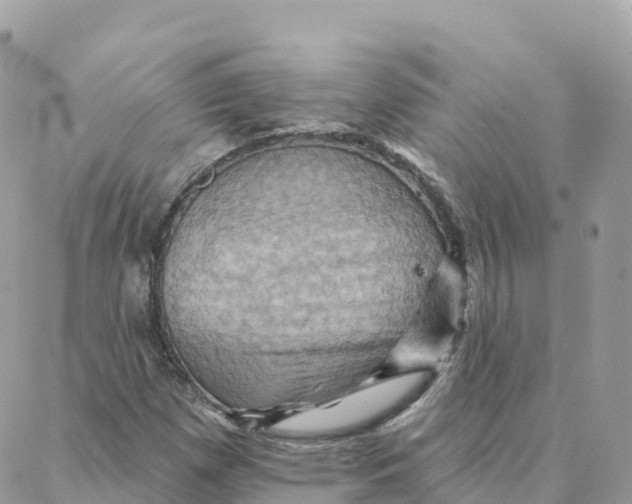 X0000088381257200706121136