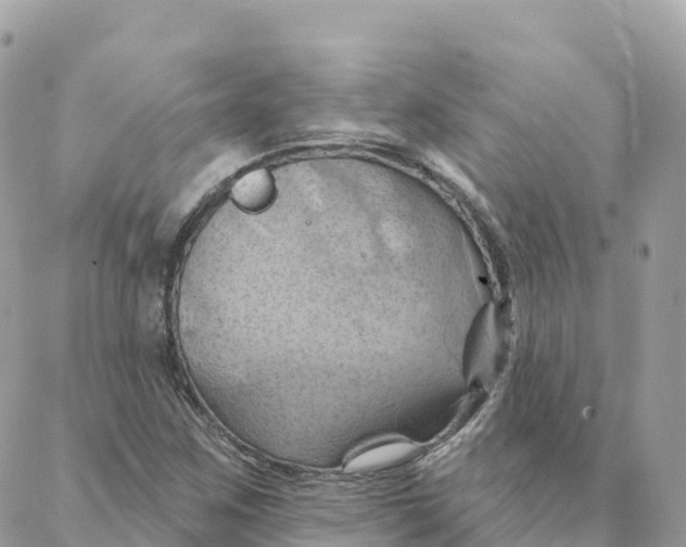 X0000088381259200706121136