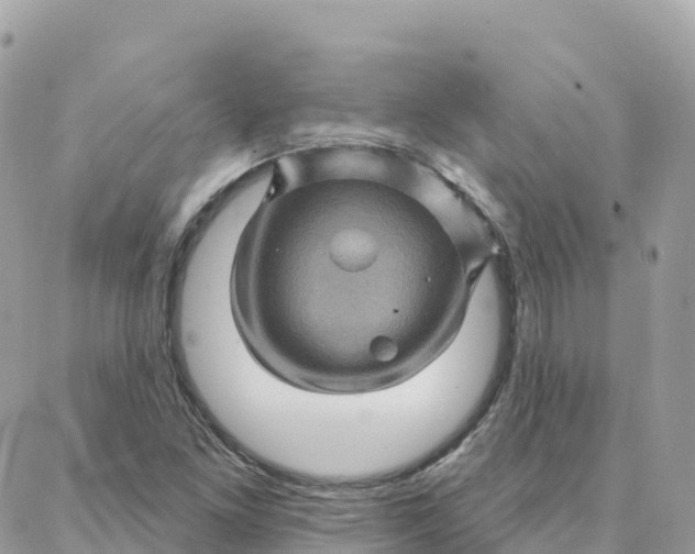 X0000088381261200706121136