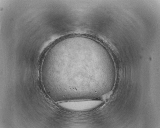 X0000088381262200706121136