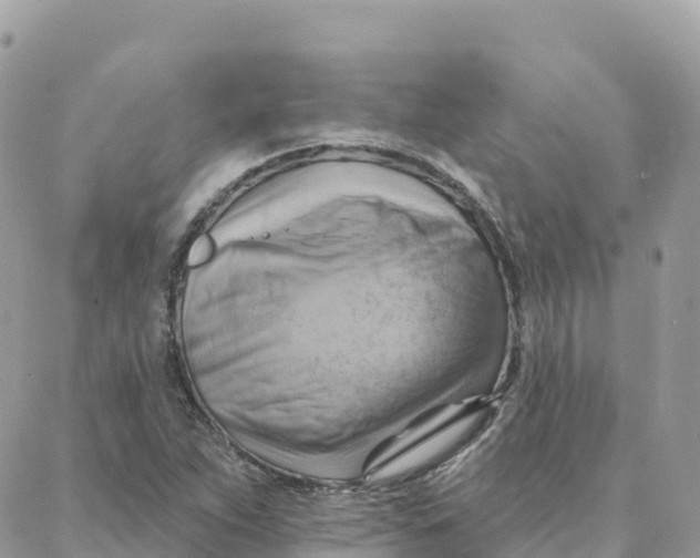 X0000088381263200706121136