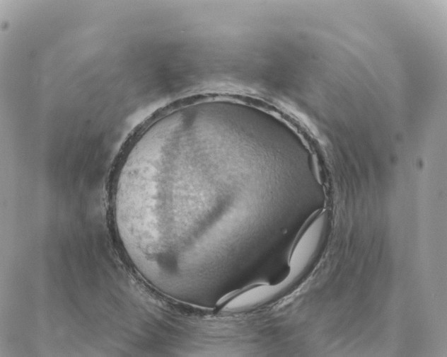 X0000088381264200706121136