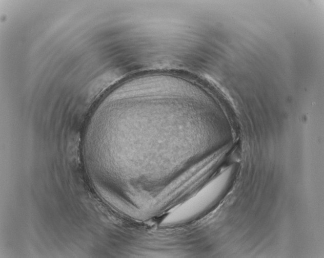 X0000088381265200706121136