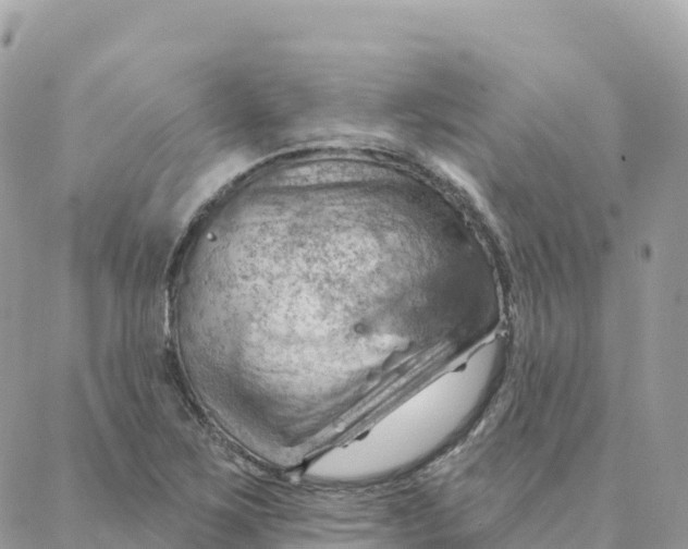 X0000088381267200706121136