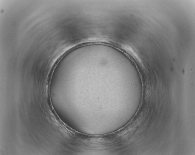 X0000088381268200706121136