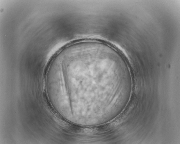 X0000088381271200706121136