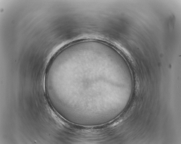 X0000088381272200706121136