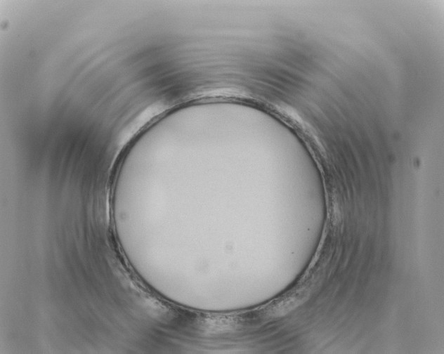 X0000088381274200706121136