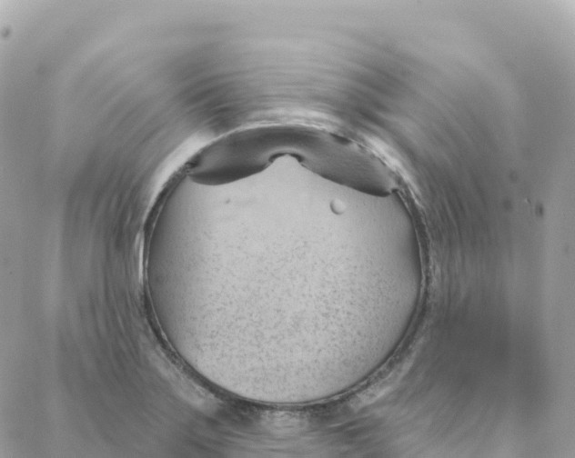 X0000088381275200706121136