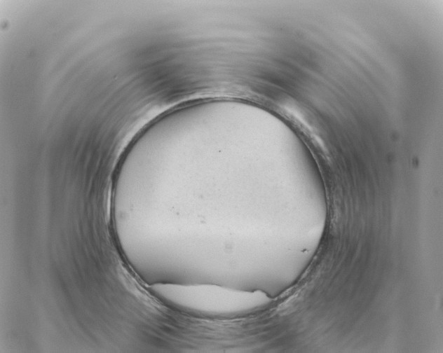 X0000088381276200706121136