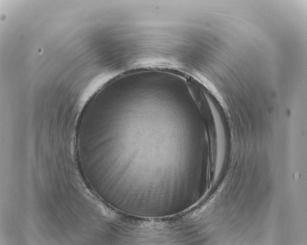 X0000088381277200706121136