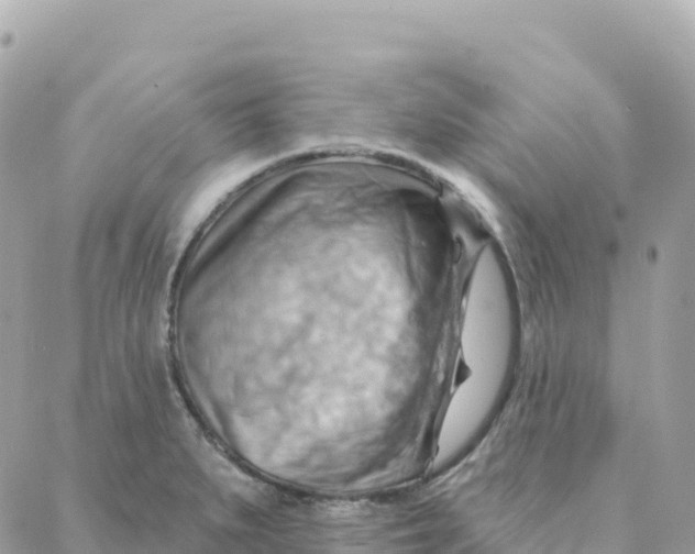 X0000088381279200706121136