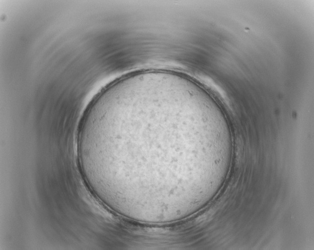 X0000088381280200706121136