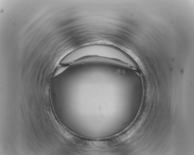 X0000088381281200706121136