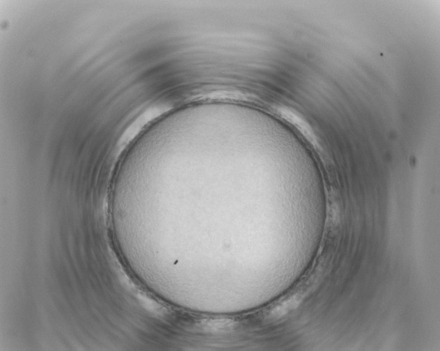 X0000088381282200706121136