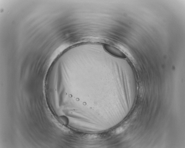 X0000088381283200706121136