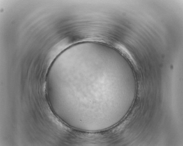 X0000088381284200706121136