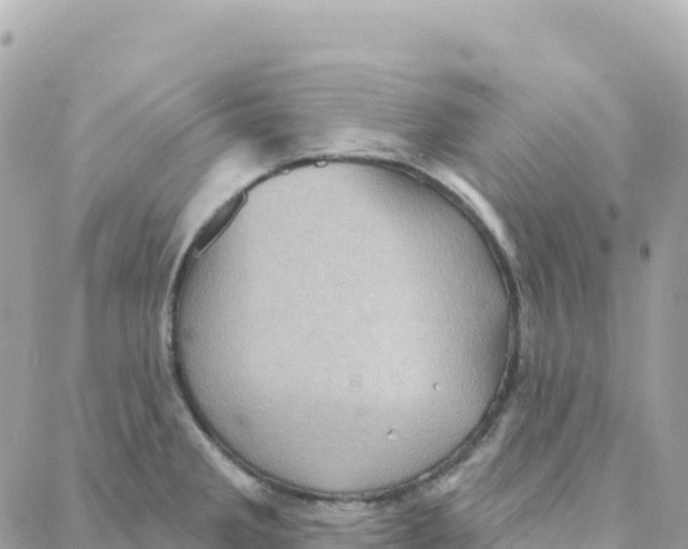 X0000088381285200706121136