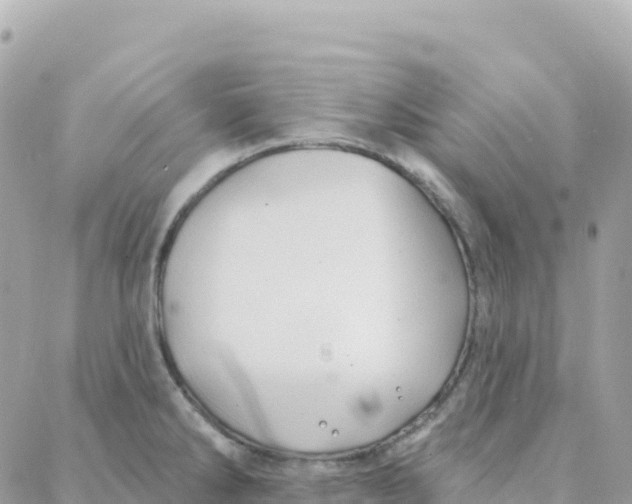 X0000088381286200706121136