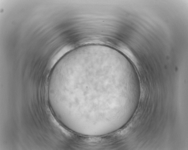 X0000088381290200706121136