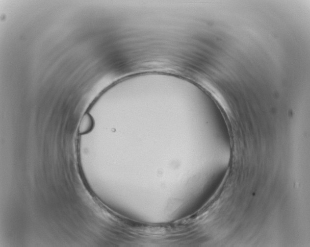 X0000088381291200706121136