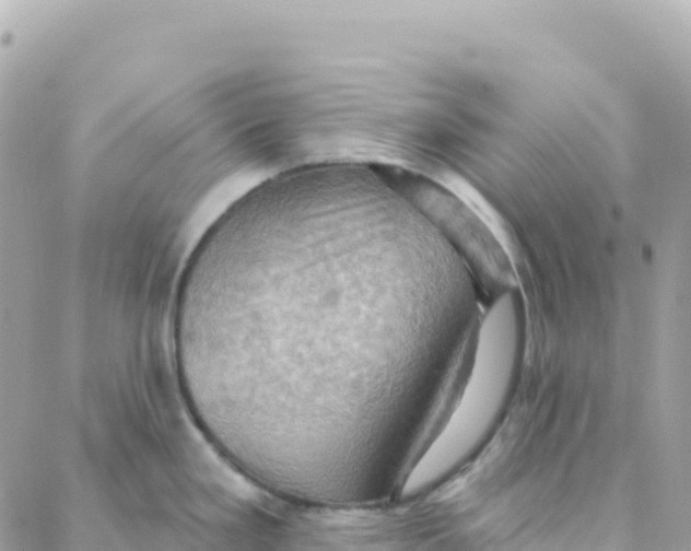 X0000088381293200706121136