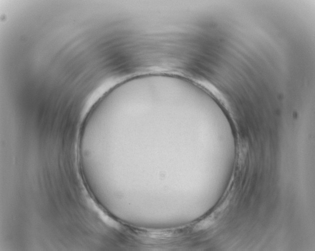 X0000088381294200706121135