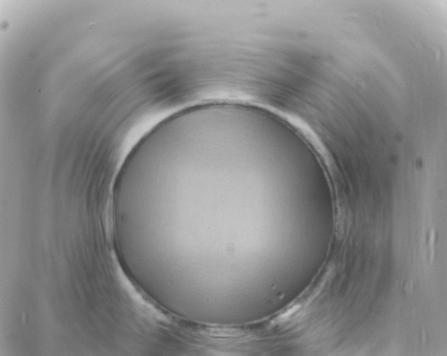 X0000088381295200706121135