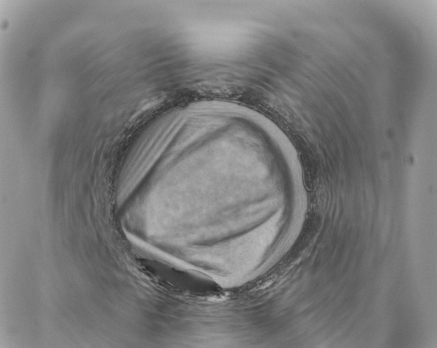 X0000088381297200706121135