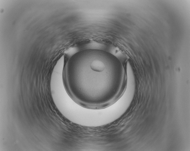 X0000088381298200706121135