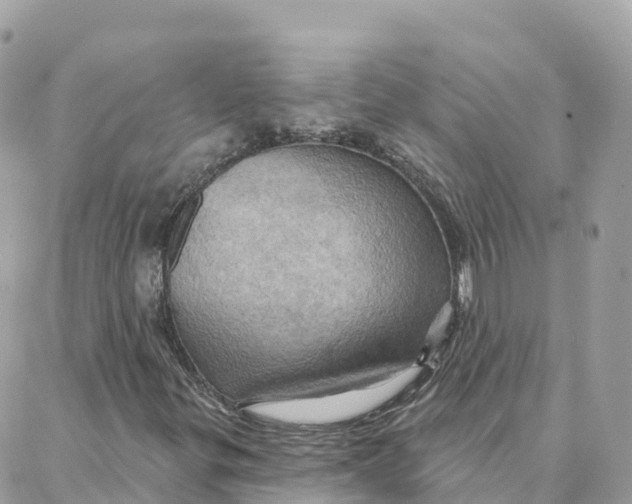 X0000088381299200706121135