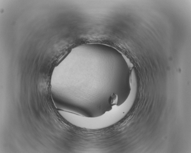 X0000088381300200706121135