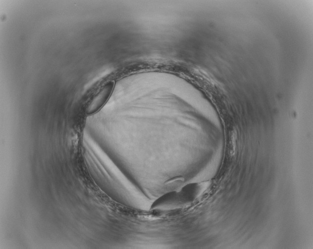 X0000088381302200706121135