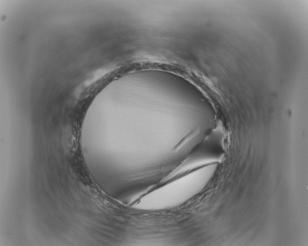 X0000088381303200706121135