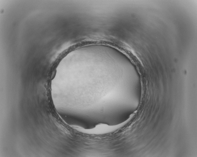 X0000088381304200706121135