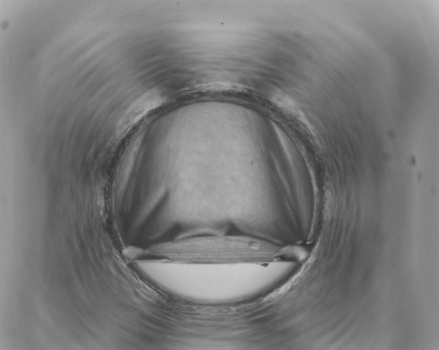 X0000088381305200706121135