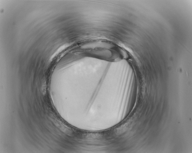 X0000088381306200706121135