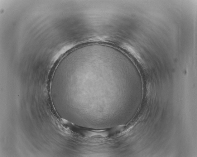 X0000088381308200706121135