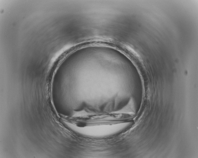 X0000088381310200706121135