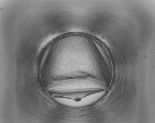 X0000088381311200706121135