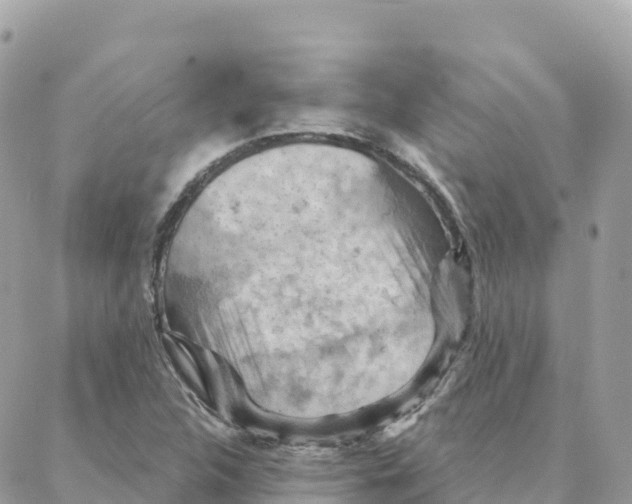 X0000088381312200706121135