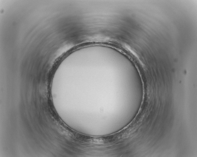 X0000088381315200706121135