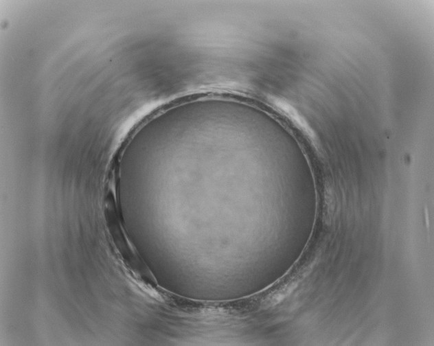 X0000088381316200706121135