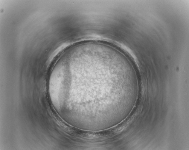 X0000088381318200706121135