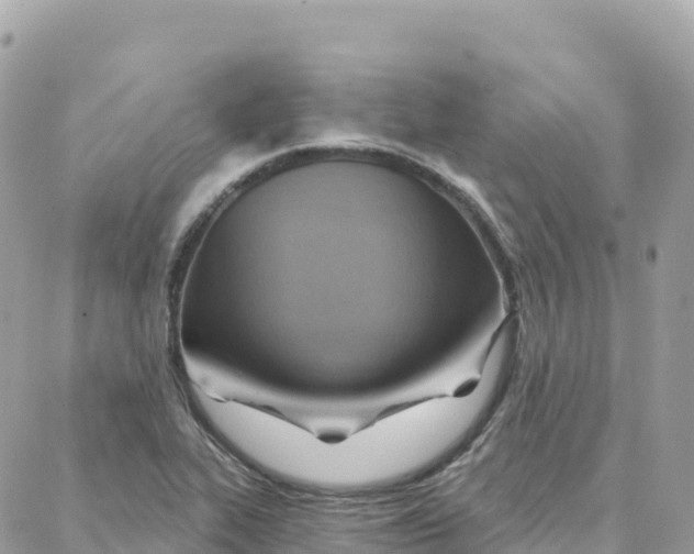 X0000088381319200706121135