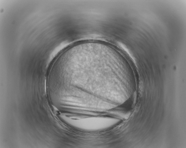 X0000088381320200706121135