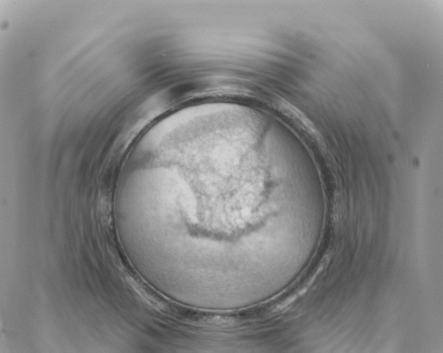 X0000088381321200706121135