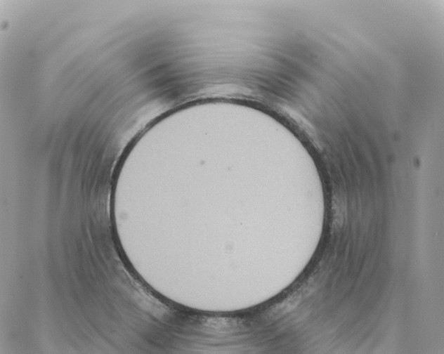 X0000088381322200706121135